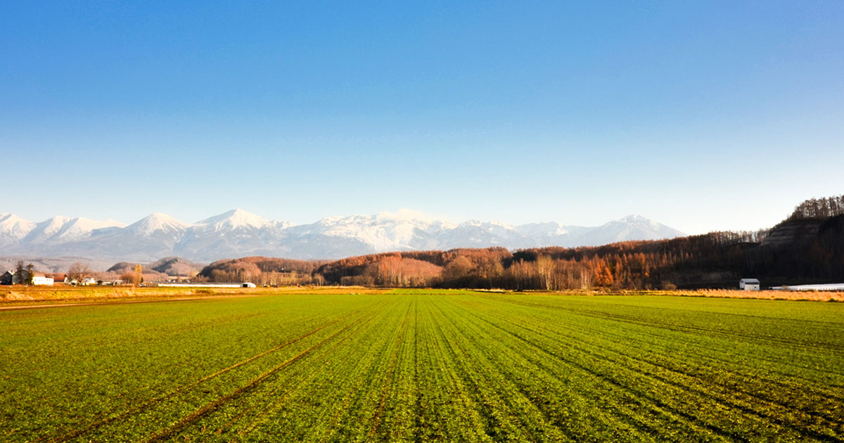 Brand New Tokachi 十勝の名産を新しいカタチでの写真(北海道帯広市)